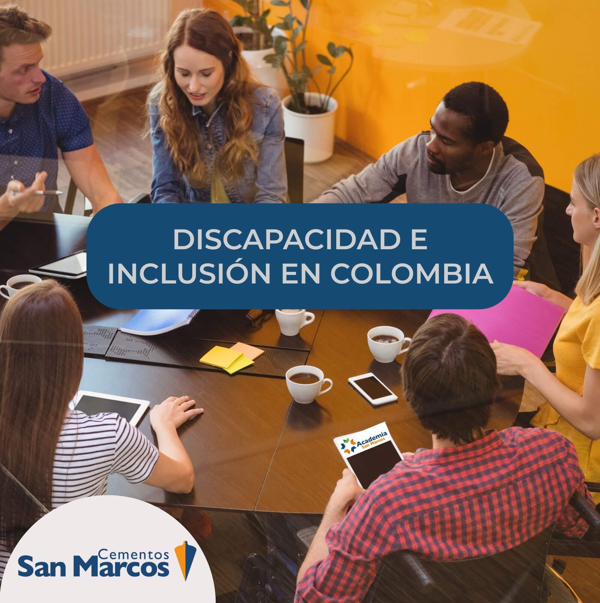 DISCAPACIDAD E INCLUSIÓN EN COLOMBIA